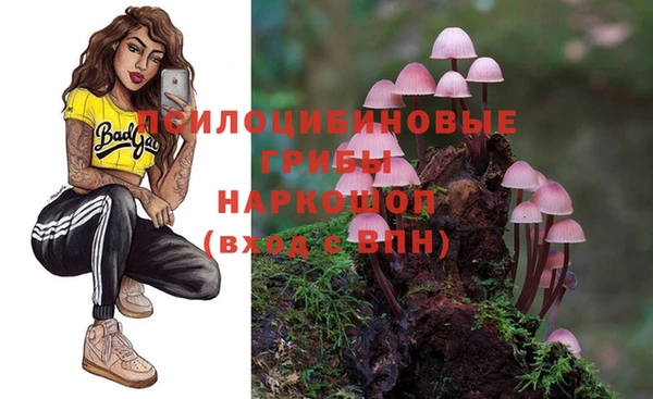 МДМА Заволжск